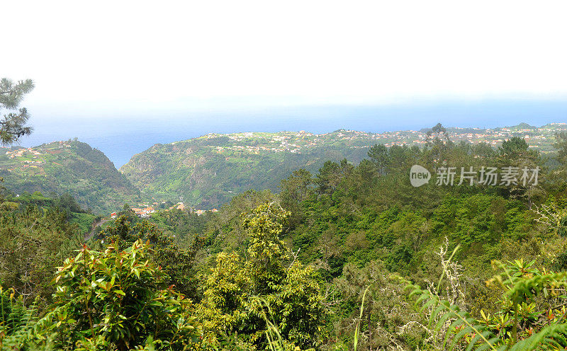 桑塔纳来自Caldeirao Verde - Madeira